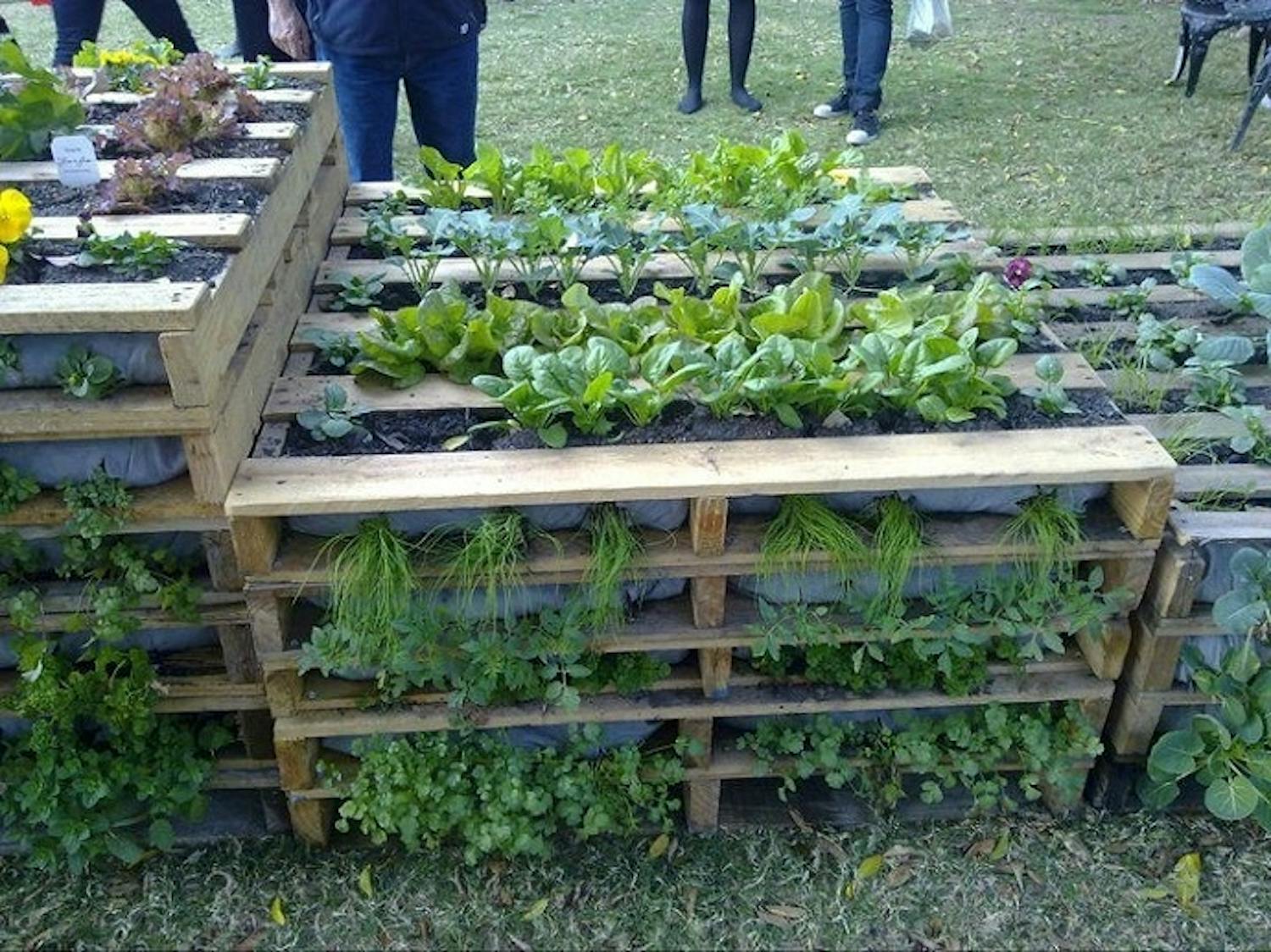 Paller plantekasser bed planter have